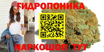 индика Новокубанск