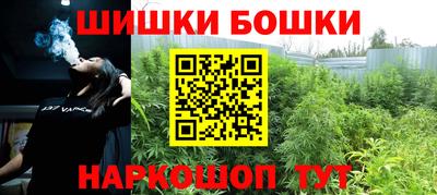 индика Новокубанск