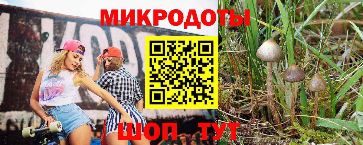 Псилоцибиновые грибы Psilocybine cubensis  Вход с VPN  Усолье-Сибирское 