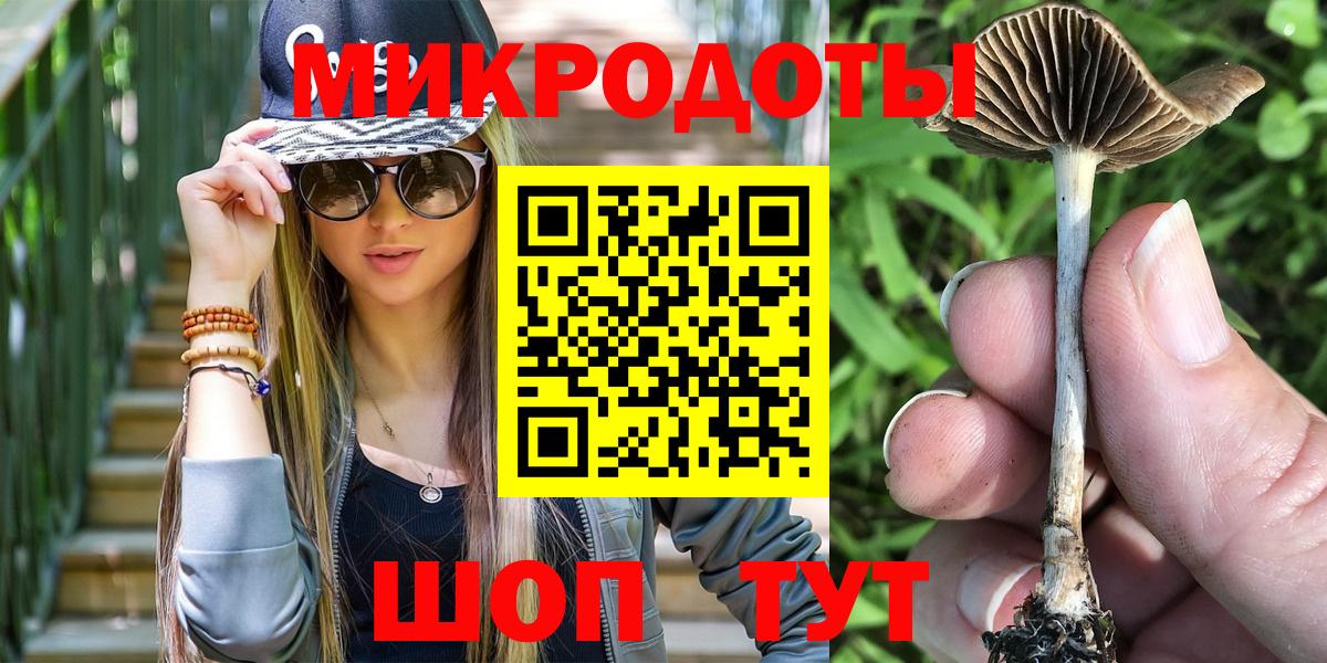 Псилоцибиновые грибы Psilocybe Усолье-Сибирское